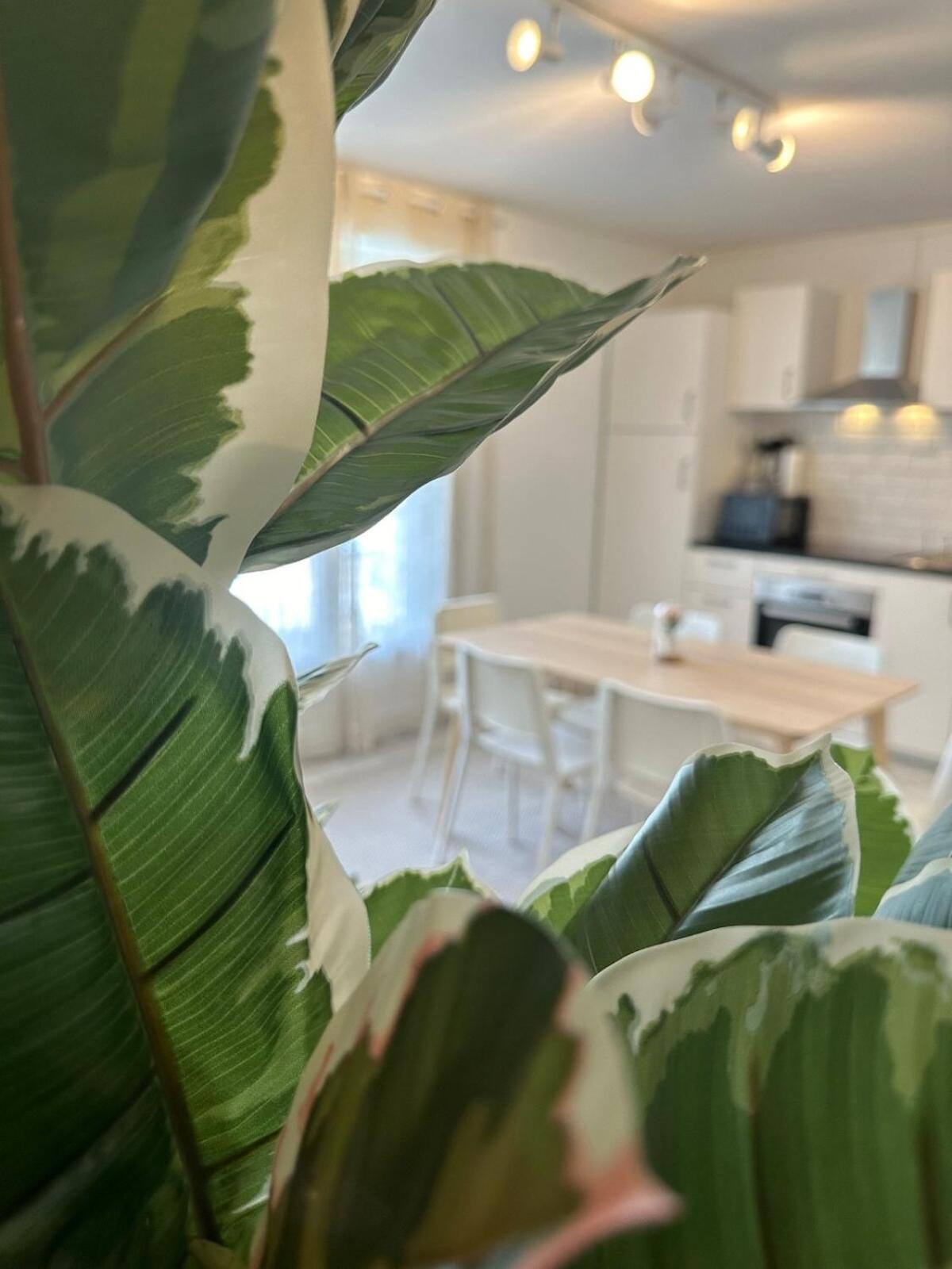 Au Coeur Du Quartier Taittinger Appartement Reims Buitenkant foto